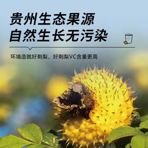 有机刺梨汁原汁原浆VC果汁饮料贵州特产 3盒 商品图1
