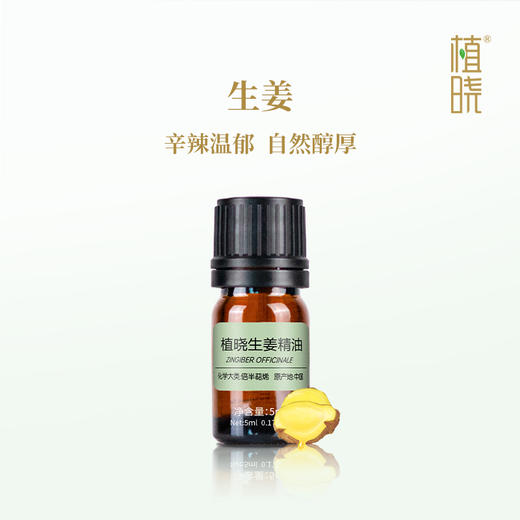 植晓 生姜精油 5ml 商品图0