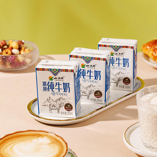 【光明&小西牛】高原纯牛奶自有牧场纯牛奶家庭特惠小盒装牛奶早餐奶200ml*10盒 商品图4