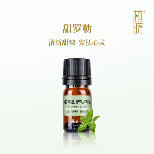 植晓 甜罗勒精油 5ml 商品图0