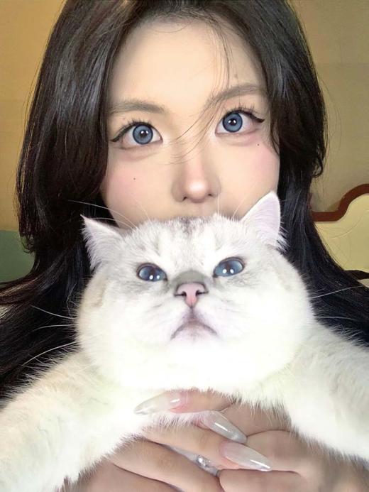 allecon 年抛 冰晶蓝 直径14.5MM着色13.8MM 商品图5