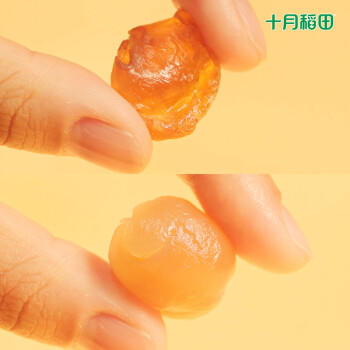 十月稻田 桂圆肉 425g 去壳无核桂圆干 无添加 煲汤泡水补气血 红枣枸杞 /粮油调味 /南北干货 /果茎食补干货 商品图2