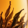 【皇佳香-青云好食城】三江红茶125g/盒 手工制作醇香回甘 商品缩略图3
