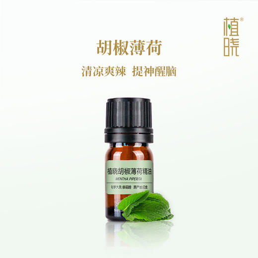 植晓 胡椒薄荷 精油 5ml 商品图0