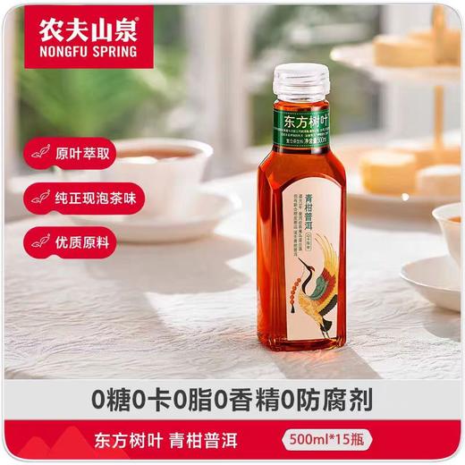 农夫山泉东方树叶普洱茶无糖饮料500ml*15 商品图0