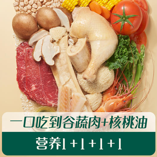 英氏婴幼儿鲜汤肉粥（牛肉胡萝卜、鸡肉香菇、鳕鱼羽衣甘蓝猴头菇、牛肉芦笋猴头菇、牛肉番茄鹰嘴豆、鲜虾玉米鹰嘴豆）（包） 商品图3