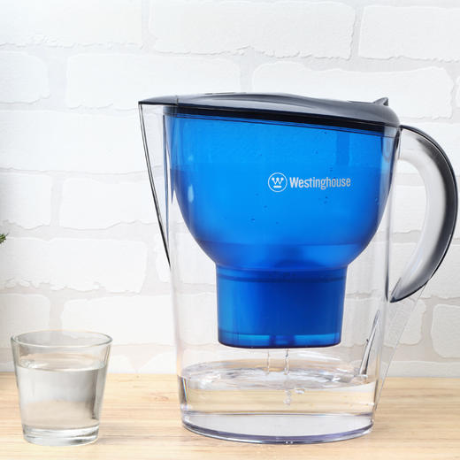 西屋（Westinghouse）净水器滤芯过滤净水器家用厨房滤水壶净水壶3.5L1壶1芯 WT-B02 商品图0