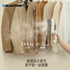 BLAUPUNKT手持挂烫机便携式蒸汽小熨斗BP-8191D 商品缩略图1
