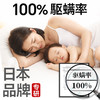 【满分驱螨安心无忧】良质驱螨包 植物提取更安全 免洗免晒 母婴可用 长效除螨 60 天 5包/袋 商品缩略图3