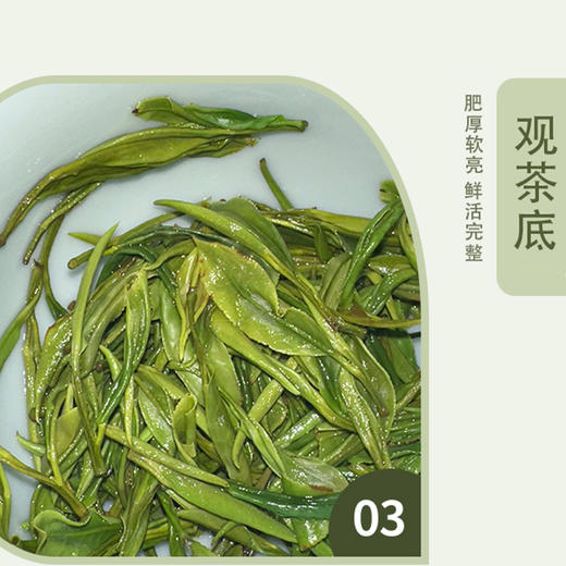 2025新茶  黄山毛峰  谷雨时节高山云雾绿茶  茶香清新 口感鲜爽 回味甘甜 商品图5
