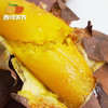 西域美农 朱芷金薯云栗金薯 口感细腻,绵软,风味浓郁 4.8斤 商品缩略图2