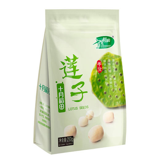 十月稻田 莲子 250g 半斤 湘潭产去芯磨皮白莲子 商品图0