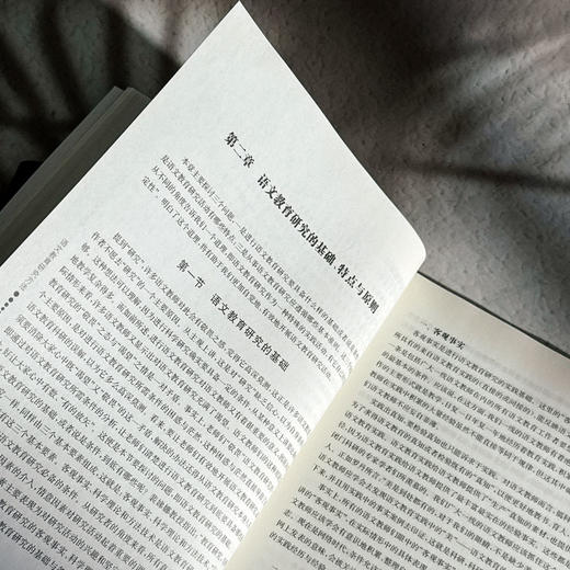 语文教育研究方法 教育硕士 语文 专业学位系列教材 徐林祥 商品图9