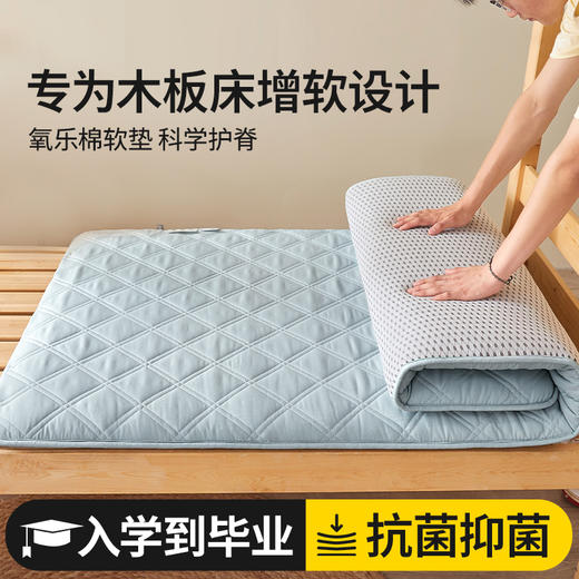 自然醒氧乐棉抗菌三明治加厚学生床垫垫褥软垫家用褥子垫背宿舍榻榻米垫子褥子LN 商品图1