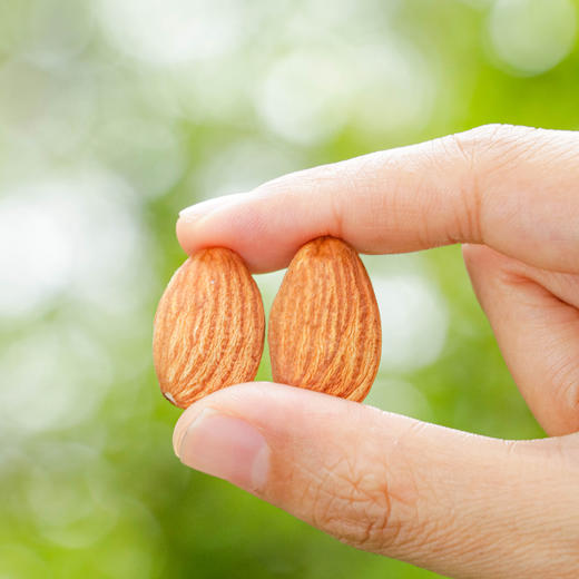 北纬纯净食品|进口扁桃仁原味杏仁巴旦木坚果零食小包装250g 商品图2