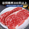 澳牛日记澳洲和牛M9牛霖 净重1kg 谷饲雪花牛排生鲜牛扒冷冻 商品缩略图3