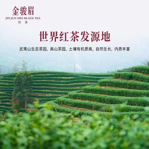 竹叶青牌金骏眉红茶一级100g/袋 商品图2