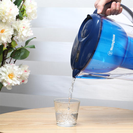 西屋（Westinghouse）净水器滤芯过滤净水器家用厨房滤水壶净水壶3.5L1壶1芯 WT-B02 商品图1
