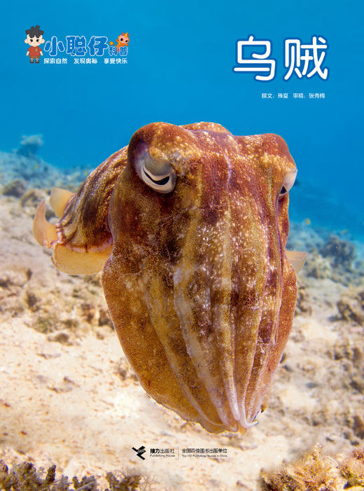 【社群专属】小聪仔（科普版）幼儿科普启蒙杂志天花板，专为2-8岁儿童设计的科普期刊！ 商品图1