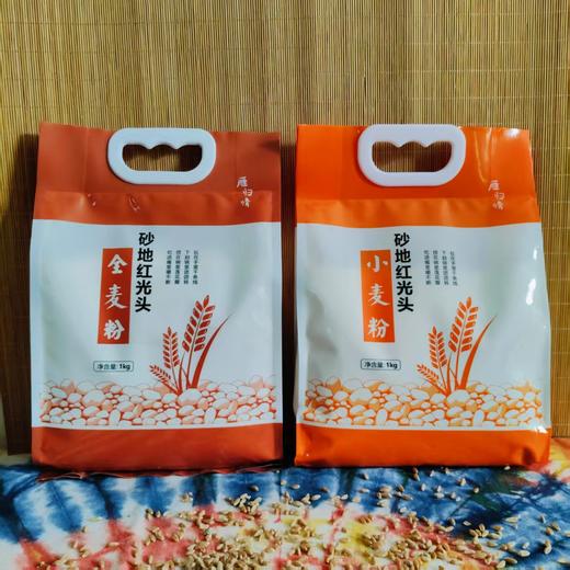 砂地红光头全麦面粉，高筋粉 商品图0