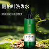 【买2液送1膏】兰渚堂自研 侧柏叶洗发水+发根涂抹膏 套装 添加侧柏叶防风续断大皂角 头皮养护洗发液发丝柔顺 商品缩略图0