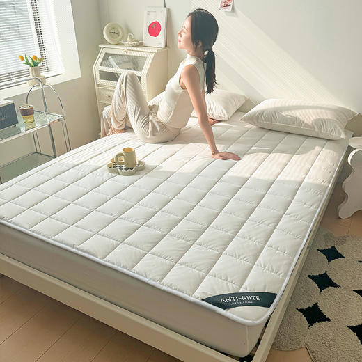 自然醒四季款全棉舒适抗菌两用床褥双面纯棉德芙绒床垫防滑可洗家用软垫床褥被LN 商品图6