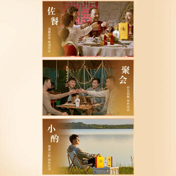 劲牌毛铺草本酒 苦荞酒 金荞42度500ml*2瓶 礼盒送礼 商品图3