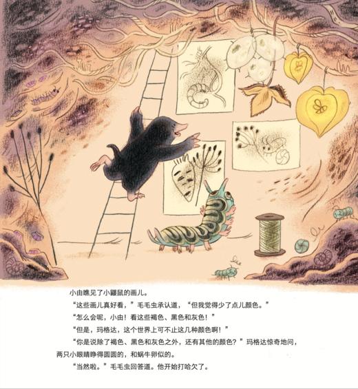 《大自然的魔法课》（全4册） 商品图10