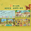 DK翻翻书:谁藏在后面(全4册) 商品缩略图2