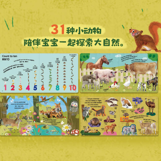 DK翻翻书:谁藏在后面(全4册) 商品图2