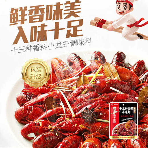 海底捞十三香小龙虾调味料220g 商品图0