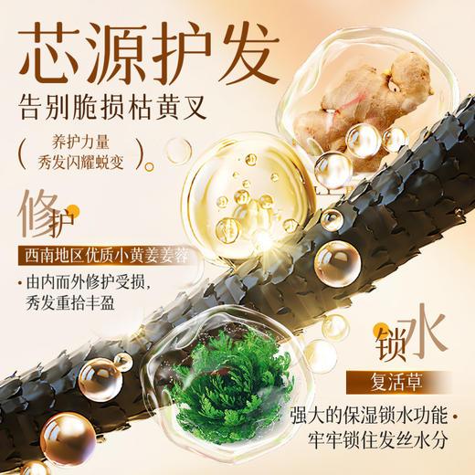 【炸毛星人必备】卓蓝雅生姜发膜300ml  烫染修护（5号） 免蒸款 商品图6