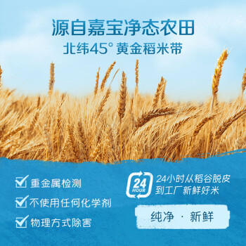 嘉宝（GERBER）强化钙铁锌高铁米粉婴幼儿宝宝辅食米糊维C+铁250g6月+100%真验厂 /母婴 /营养辅食 /米粉/米糊/粥/谷物米 商品图5