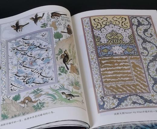 刷边特装：《纹样密语：东方装饰艺术全书》，精装，[法]尤金.维克多.科利诺著，九州出版社2025年4月一版一印，363页，定价98，售价88元。 商品图6