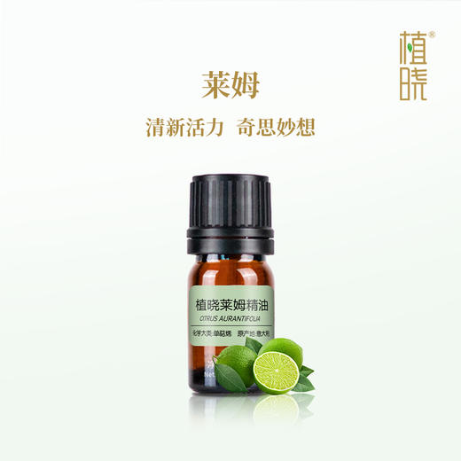 植晓 莱姆精油 5ml 商品图0
