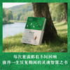 悉达多 商品缩略图1