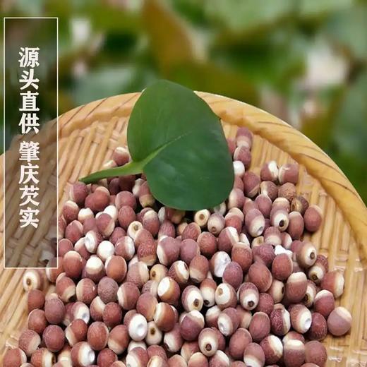 广东红芡实13.8元1袋250g,明天到 商品图1
