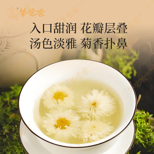 【杭菊】浙江| 臻品杭菊 朵朵饱满 入口甜润 菊香扑鼻 商品图4