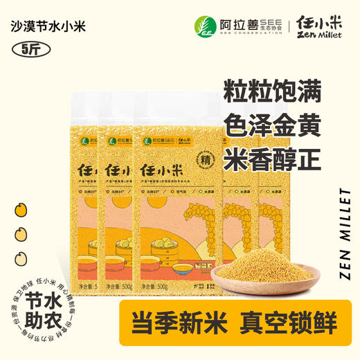 【2025年新米500g*5】现货任小米当季小米新谷子新小米沙漠节水小米 商品图1