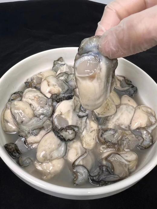 xm  刚从海边现挖的新鲜海蛎肉 商品图0