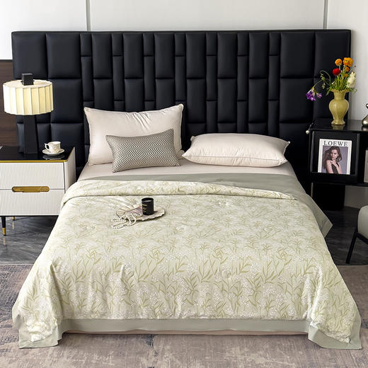 三泰龙 夏季新品莱赛尔天丝夏被印花可机洗夏凉被空调被1207 商品图5