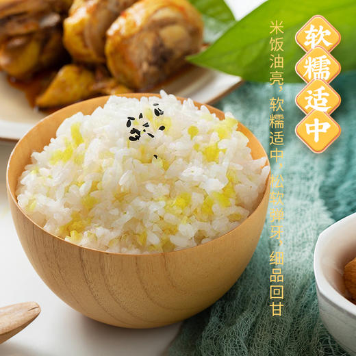 【走娃官方指定合作产品】袁谷碱地二米饭2.5kg盘锦圆粒米五常玉米糁二米饭软糯清香5斤装赠同款300g 商品图1