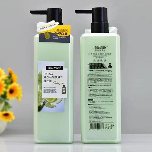 植物语录小苍兰洗发露500ml 商品图2