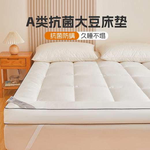 自然醒A类大豆抗菌防螨软床垫五星级酒店家用卧室垫被褥子铺底榻榻米租房专用LN 商品图1