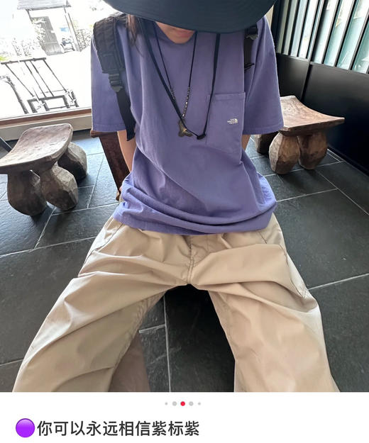 紫标北面天竺棉短袖t恤060603 商品图0