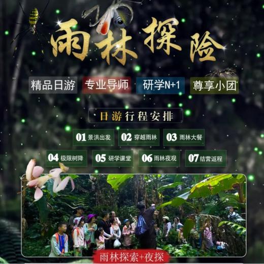 云南亲子 | 西双版纳基诺雨林1日徒步+夜探 ，专业科普老师+当地基诺族向导双导师带队，每天可发，适合亲子出行，反向玩基诺雨林徒步！ 商品图7