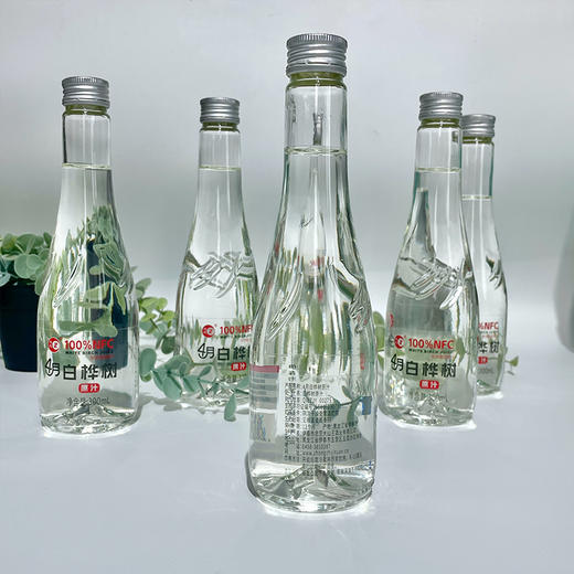 【忠芝】4月白桦树原汁 白桦汁原液无添加自然植物饮料整箱 商品图4