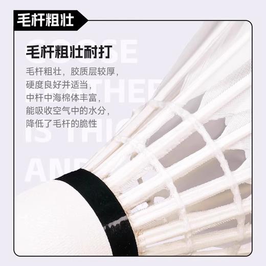 欧击 羽毛球 超级羽球9号（12只/桶） 商品图3