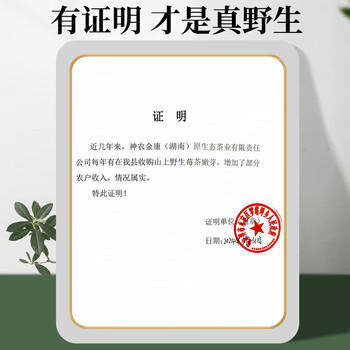 莓茶500g 野生张家界特级芽尖 搭永顺莓茶霉茶含硒 藤茶 养生茶 /非药健康 /滋补养生 /养生茶饮 商品图4