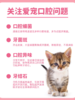 糗糗庄园-猫犬通用溶菌酶口腔喷剂30ml/瓶 商品缩略图2